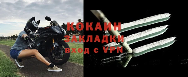прущие грибы Белоозёрский