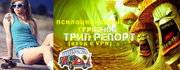 прущие грибы Белоозёрский