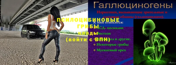 прущие грибы Белоозёрский
