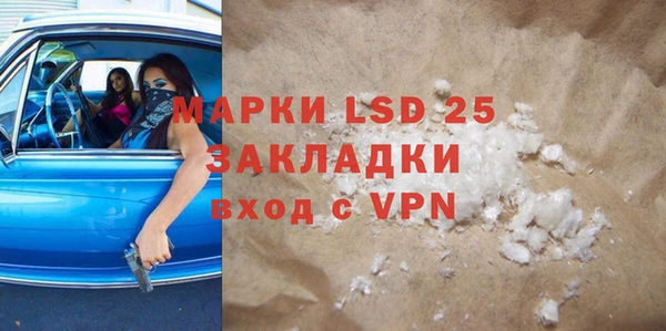 прущие грибы Белоозёрский
