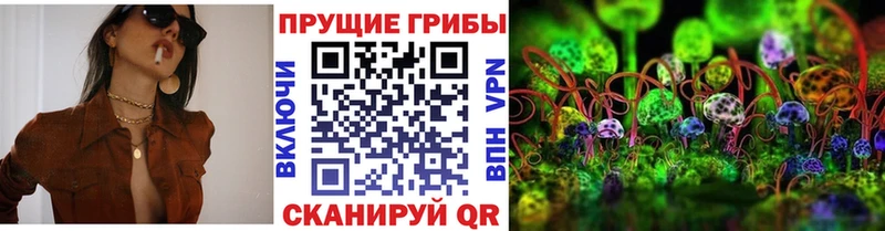 Псилоцибиновые грибы мицелий  наркошоп  гидра ссылка  Сланцы 
