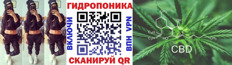 Канабис White Widow Сланцы